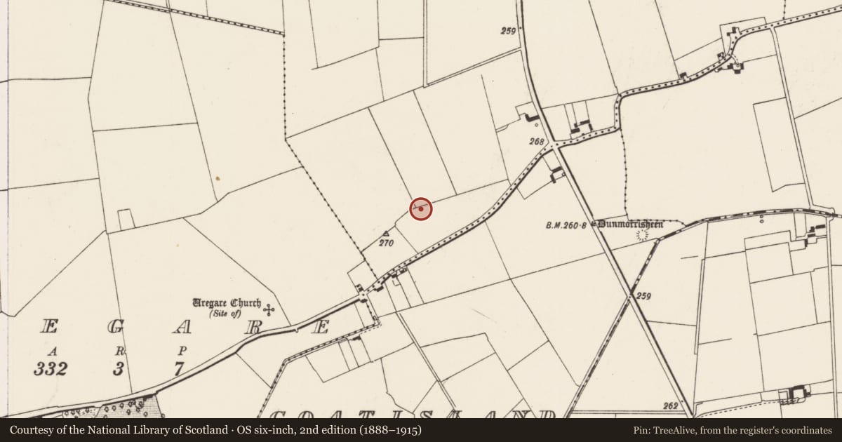 Ordnance Survey six-inch map, 2nd edition (1888–1915) covering the location of Kiln - corn-drying, Ballygrennan, County Limerick, with a pin at the register's coordinates
