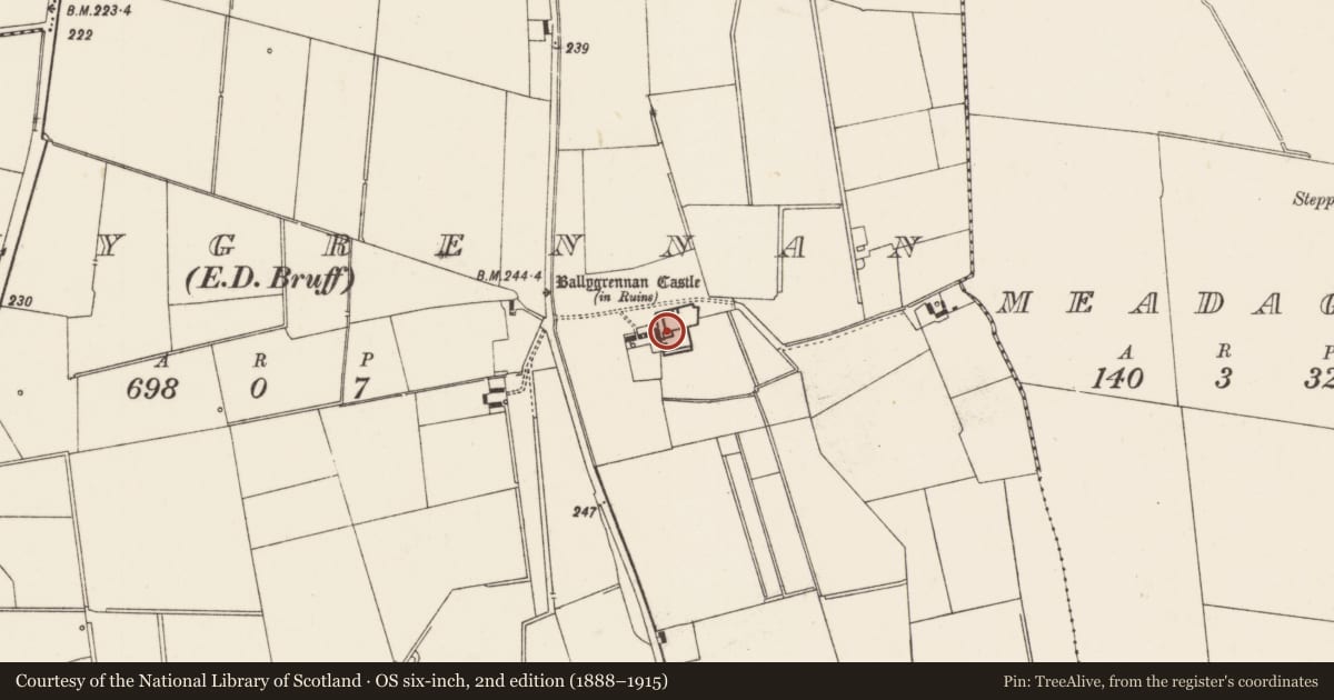 Ordnance Survey six-inch map, 2nd edition (1888–1915) covering the location of Castle - tower house, Ballygrennan, County Limerick, with a pin at the register's coordinates