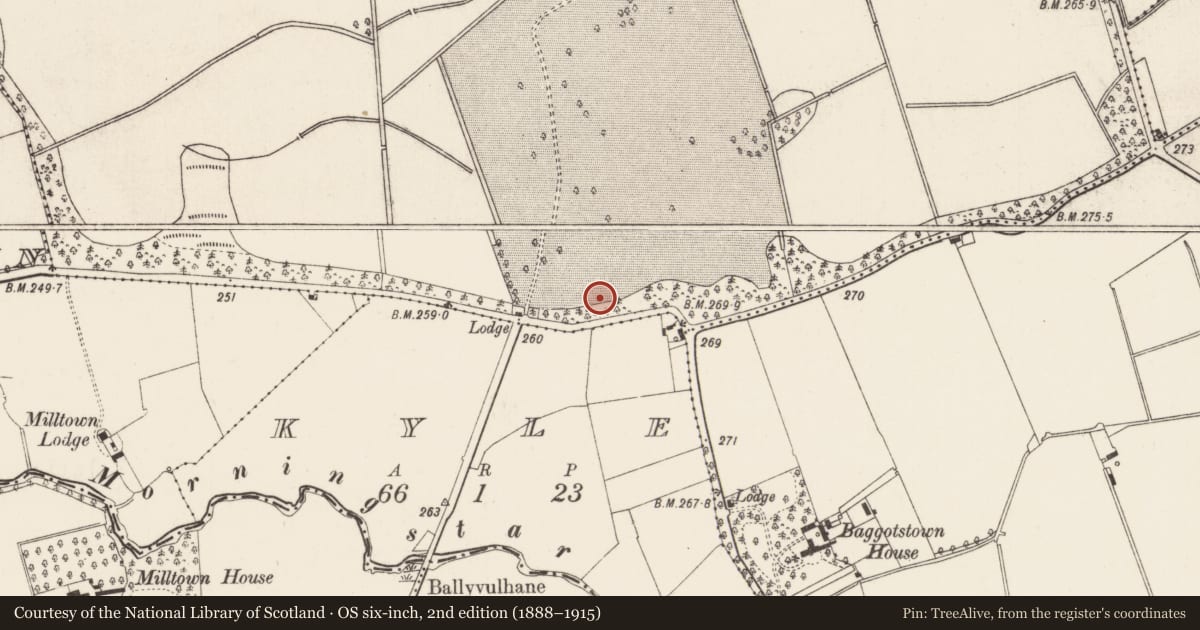 Ordnance Survey six-inch map, 2nd edition (1888–1915) covering the location of Cist, Kilballyowen, County Limerick, with a pin at the register's coordinates