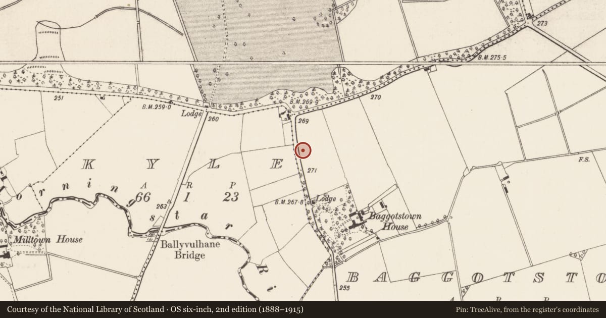 Ordnance Survey six-inch map, 2nd edition (1888–1915) covering the location of Burial mound, Baggotstown, County Limerick, with a pin at the register's coordinates