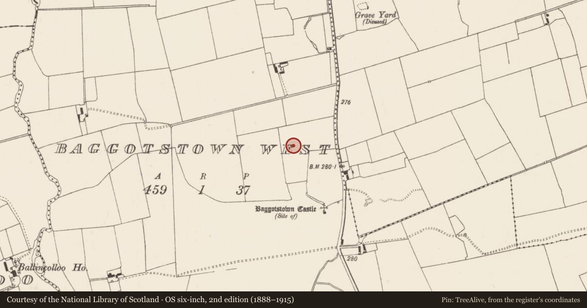 Ordnance Survey six-inch map, 2nd edition (1888–1915) covering the location of Earthwork, Baggotstown West, County Limerick, with a pin at the register's coordinates