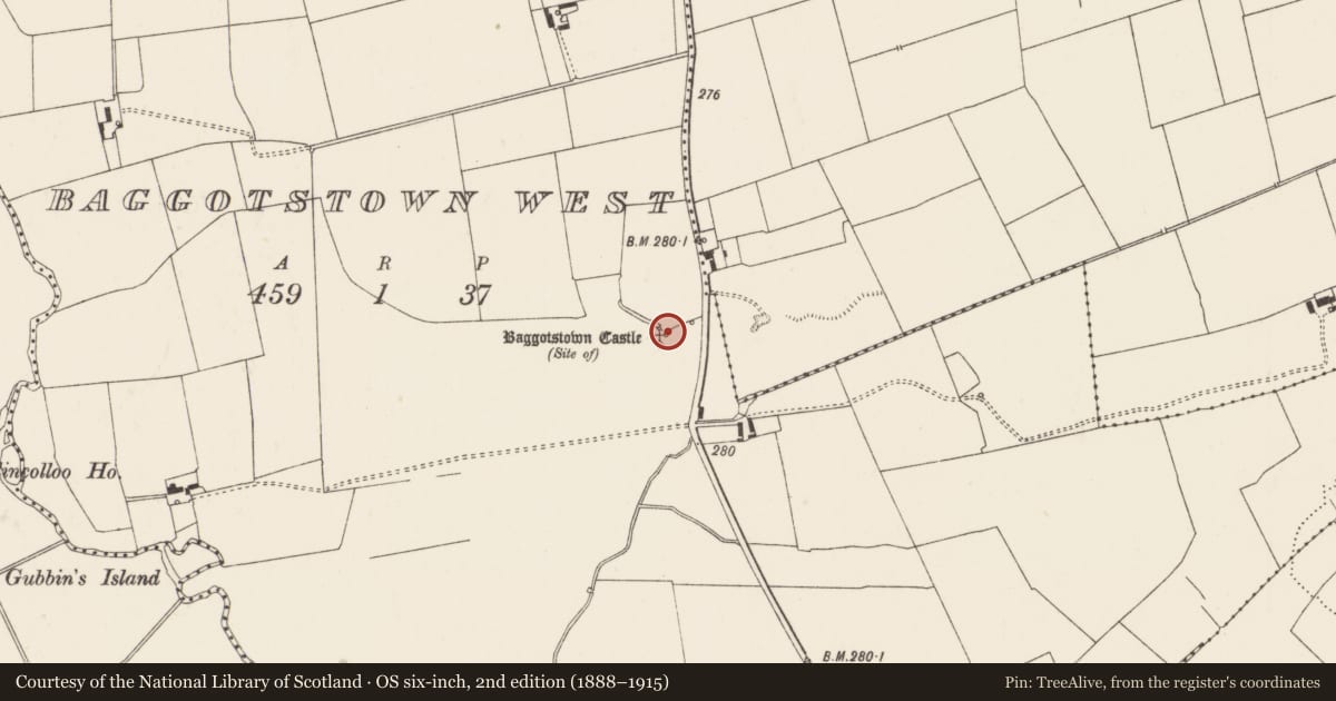 Ordnance Survey six-inch map, 2nd edition (1888–1915) covering the location of House - fortified house, Baggotstown West, County Limerick, with a pin at the register's coordinates