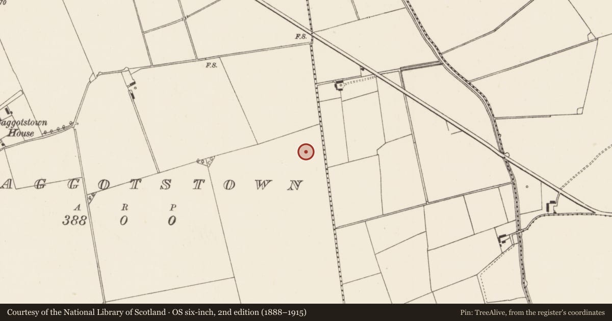 Ordnance Survey six-inch map, 2nd edition (1888–1915) covering the location of Barrow - ring-barrow, Baggotstown, County Limerick, with a pin at the register's coordinates