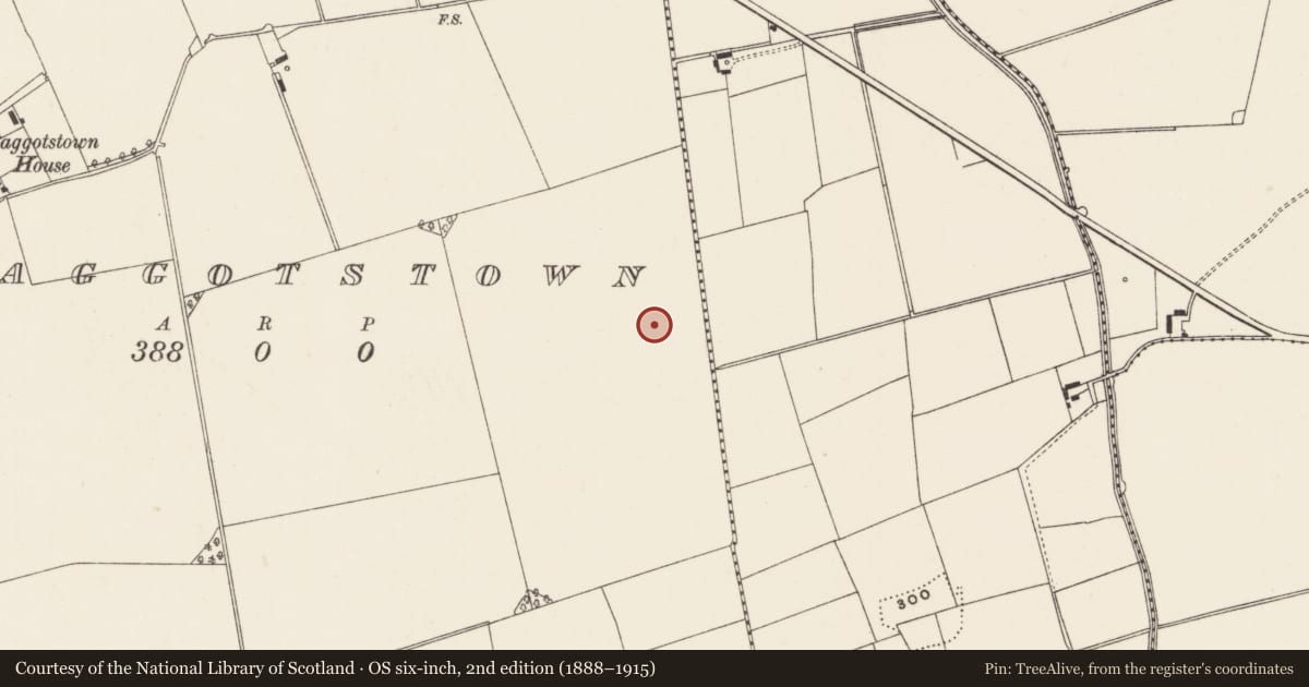 Ordnance Survey six-inch map, 2nd edition (1888–1915) covering the location of Barrow - ring-barrow, Baggotstown, County Limerick, with a pin at the register's coordinates