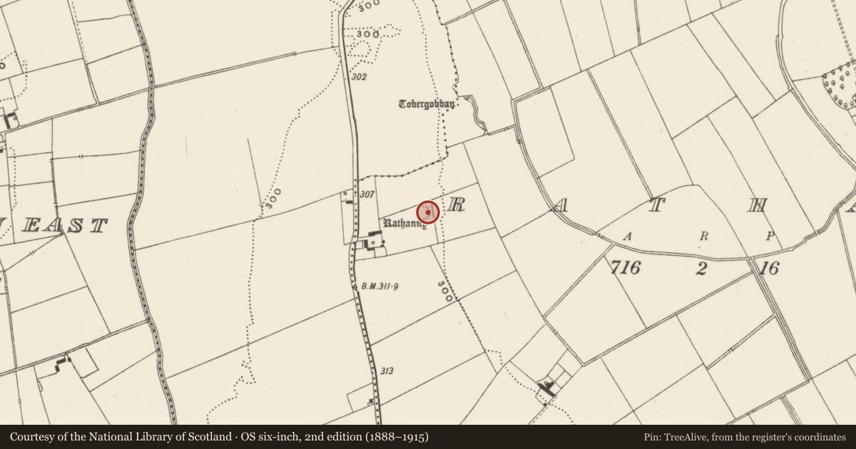 Ordnance Survey six-inch map, 2nd edition (1888–1915) covering the location of Earthwork, Rathanny, County Limerick, with a pin at the register's coordinates
