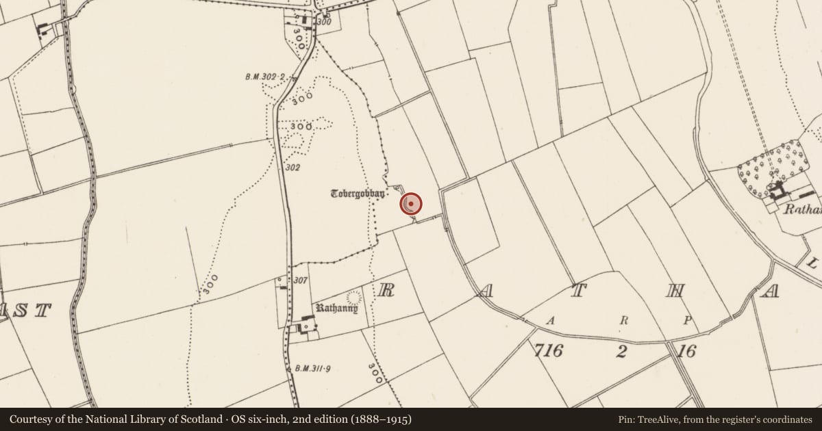 Ordnance Survey six-inch map, 2nd edition (1888–1915) covering the location of Burial ground, Rathanny, County Limerick, with a pin at the register's coordinates