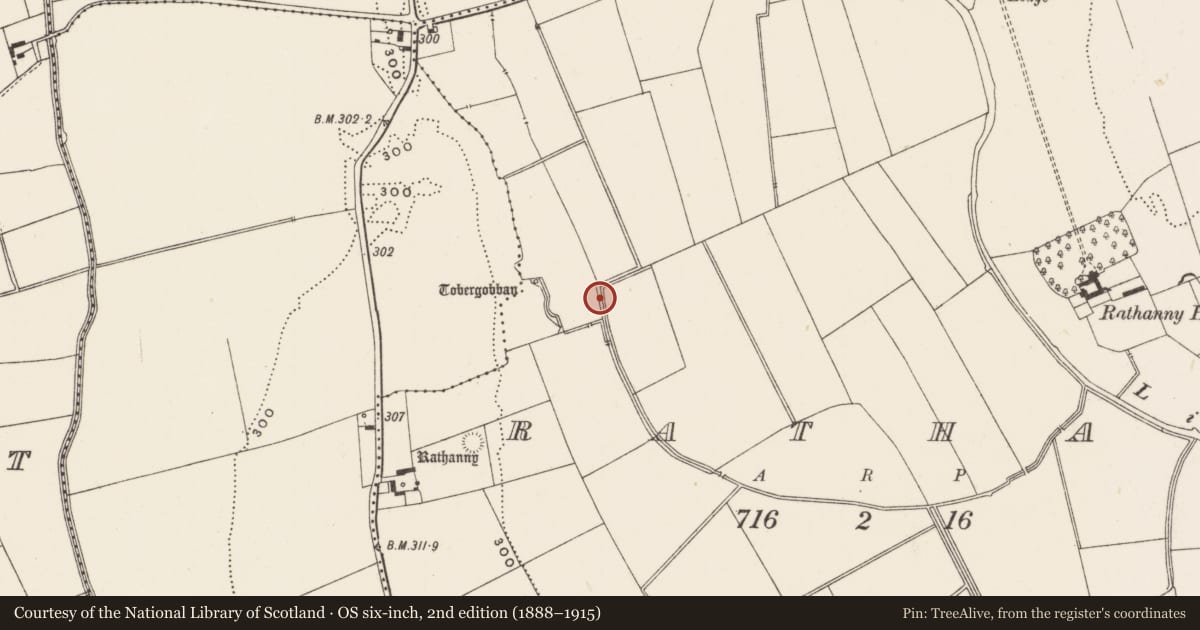 Ordnance Survey six-inch map, 2nd edition (1888–1915) covering the location of Earthwork, Rathanny, County Limerick, with a pin at the register's coordinates