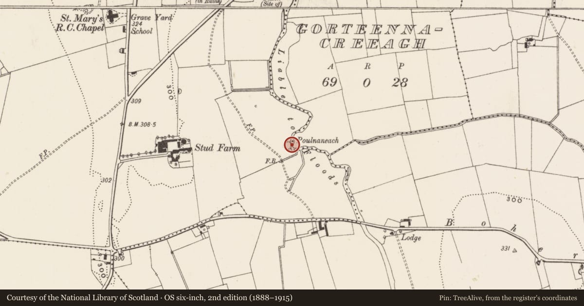 Ordnance Survey six-inch map, 2nd edition (1888–1915) covering the location of Ringfort - rath, Knockainy West, County Limerick, with a pin at the register's coordinates