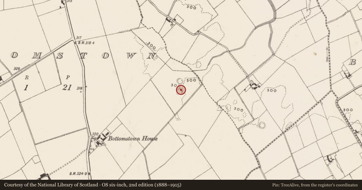 Ordnance Survey six-inch map, 2nd edition (1888–1915) covering the location of Enclosure, Bottomstown, County Limerick, with a pin at the register's coordinates