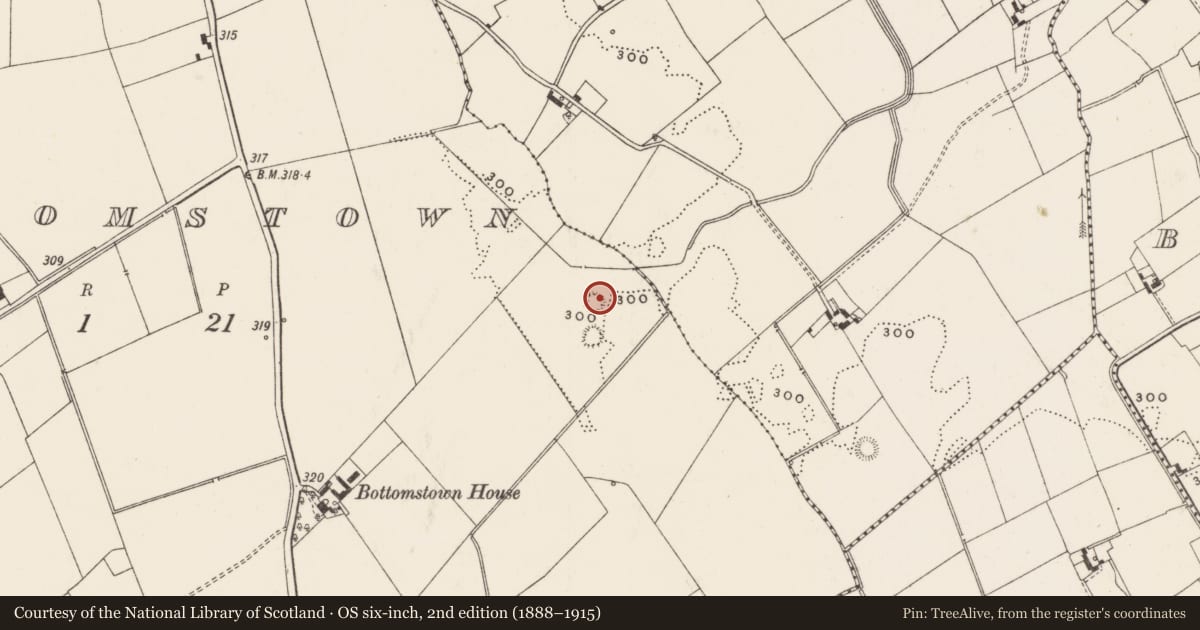 Ordnance Survey six-inch map, 2nd edition (1888–1915) covering the location of Enclosure, Bottomstown, County Limerick, with a pin at the register's coordinates