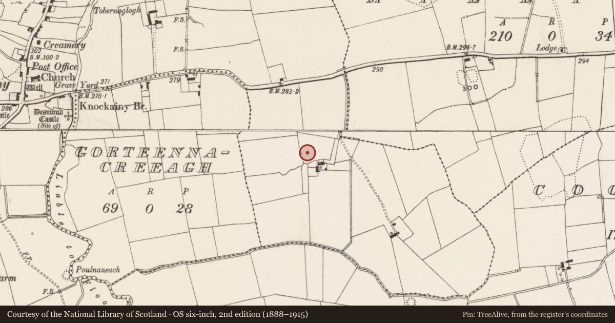 Ordnance Survey six-inch map, 2nd edition (1888–1915) covering the location of Flat cemetery, Knockainy West, County Limerick, with a pin at the register's coordinates