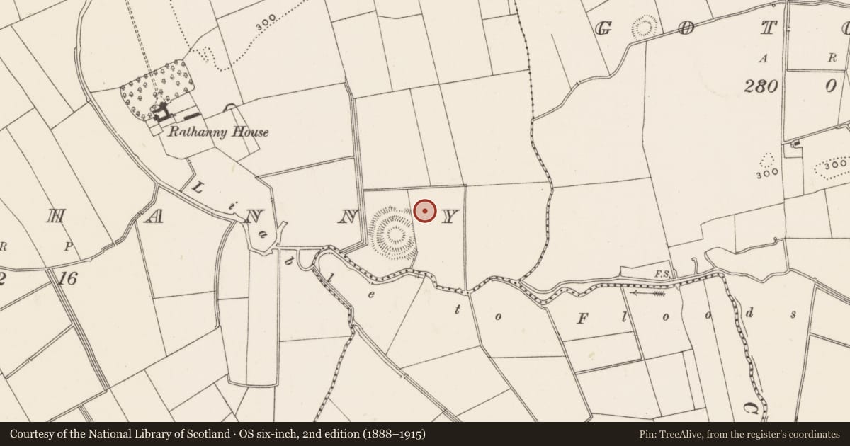 Ordnance Survey six-inch map, 2nd edition (1888–1915) covering the location of Barrow - ditch barrow, Rathanny, County Limerick, with a pin at the register's coordinates
