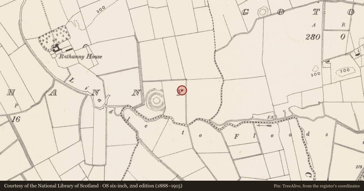 Ordnance Survey six-inch map, 2nd edition (1888–1915) covering the location of Barrow - ditch barrow, Rathanny, County Limerick, with a pin at the register's coordinates
