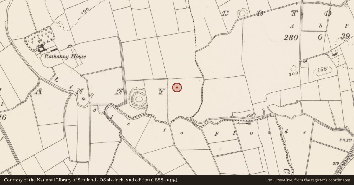 Ordnance Survey six-inch map, 2nd edition (1888–1915) covering the location of Barrow - ditch barrow, Rathanny, County Limerick, with a pin at the register's coordinates