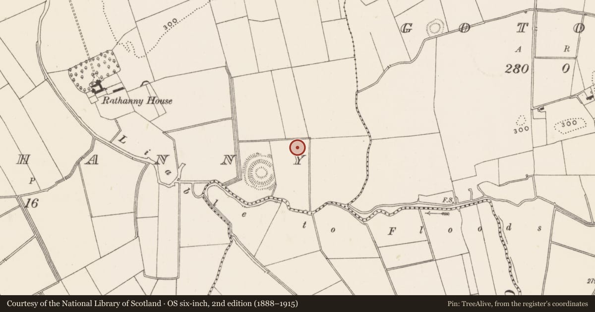 Ordnance Survey six-inch map, 2nd edition (1888–1915) covering the location of Barrow - ditch barrow, Rathanny, County Limerick, with a pin at the register's coordinates