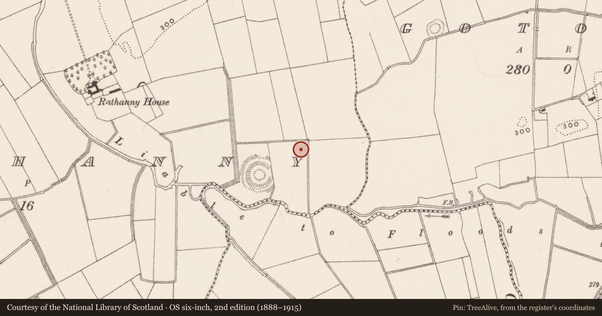 Ordnance Survey six-inch map, 2nd edition (1888–1915) covering the location of Barrow - ditch barrow, Rathanny, County Limerick, with a pin at the register's coordinates