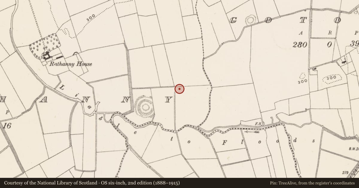 Ordnance Survey six-inch map, 2nd edition (1888–1915) covering the location of Barrow - ditch barrow, Rathanny, County Limerick, with a pin at the register's coordinates