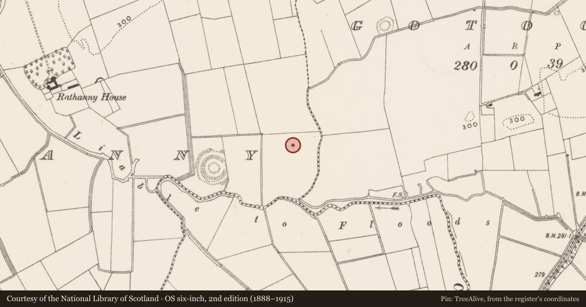 Ordnance Survey six-inch map, 2nd edition (1888–1915) covering the location of Barrow - ditch barrow, Rathanny, County Limerick, with a pin at the register's coordinates