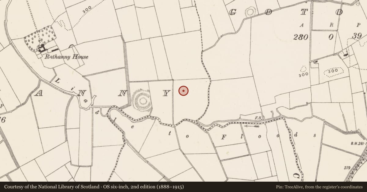 Ordnance Survey six-inch map, 2nd edition (1888–1915) covering the location of Barrow - ditch barrow, Rathanny, County Limerick, with a pin at the register's coordinates