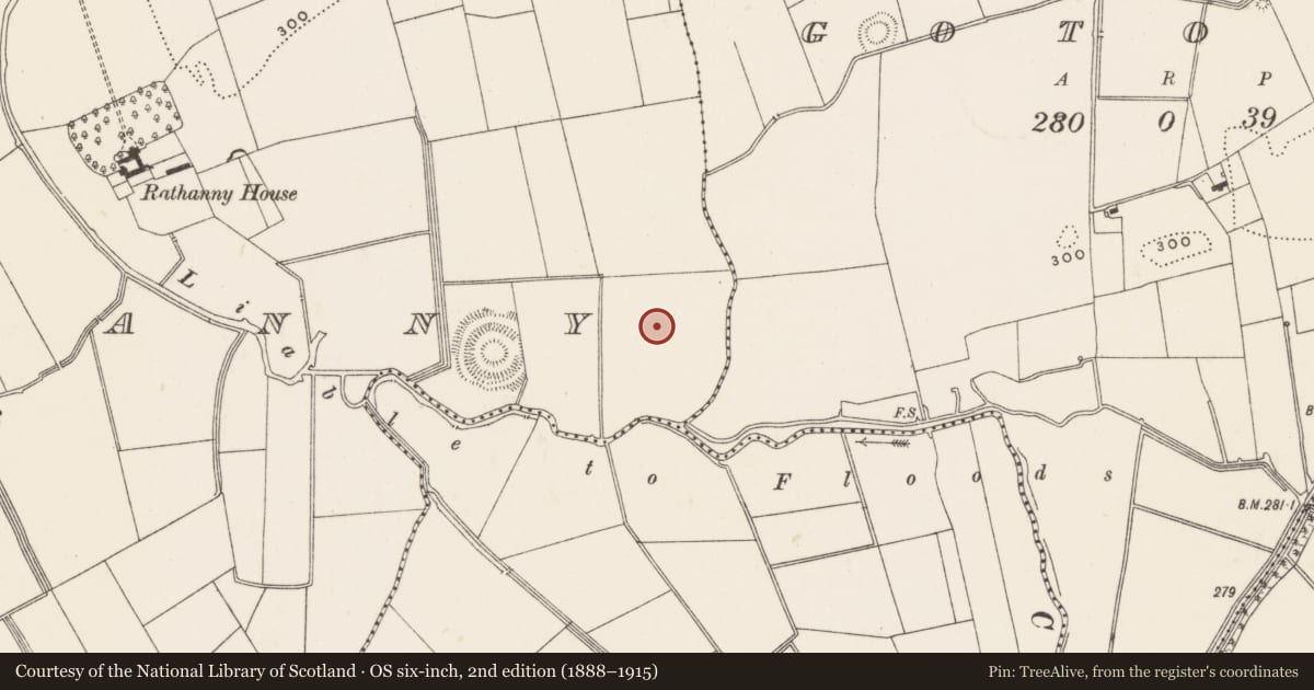 Ordnance Survey six-inch map, 2nd edition (1888–1915) covering the location of Barrow - ditch barrow, Rathanny, County Limerick, with a pin at the register's coordinates