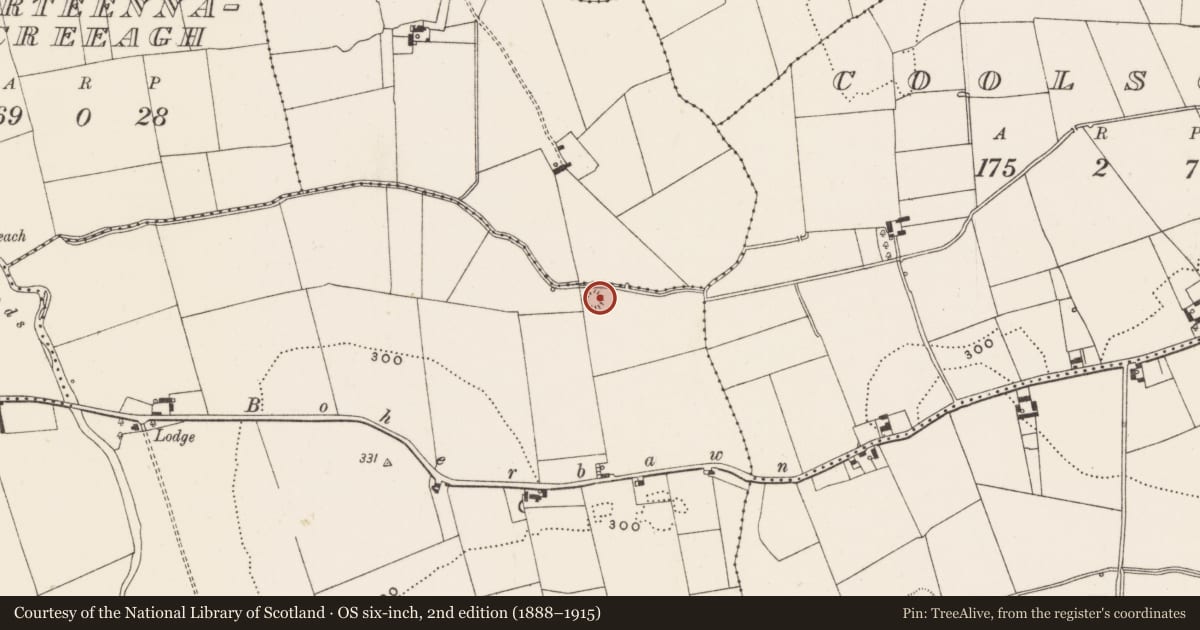 Ordnance Survey six-inch map, 2nd edition (1888–1915) covering the location of Ringfort - rath, Rathanny, County Limerick, with a pin at the register's coordinates