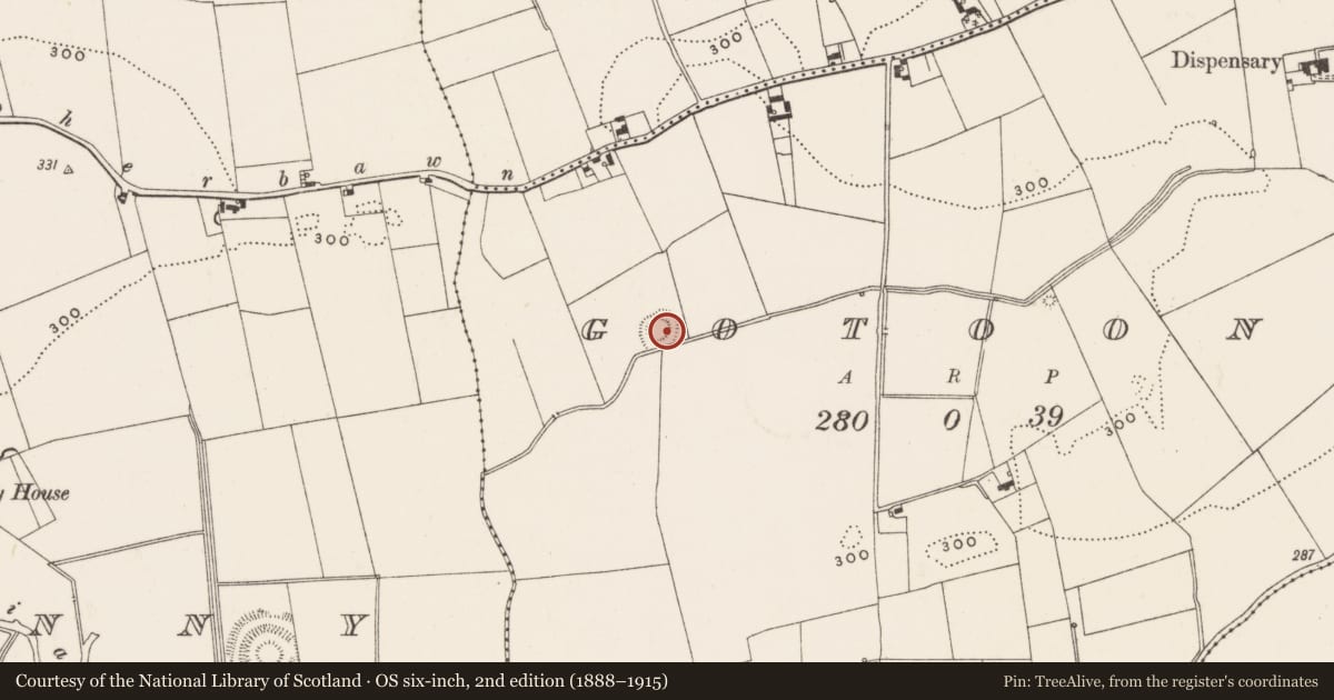 Ordnance Survey six-inch map, 2nd edition (1888–1915) covering the location of Enclosure, Gotoon, County Limerick, with a pin at the register's coordinates