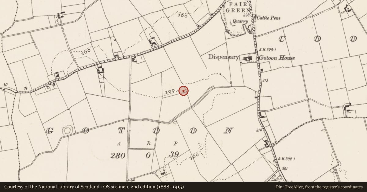 Ordnance Survey six-inch map, 2nd edition (1888–1915) covering the location of Standing stone, Gotoon, County Limerick, with a pin at the register's coordinates