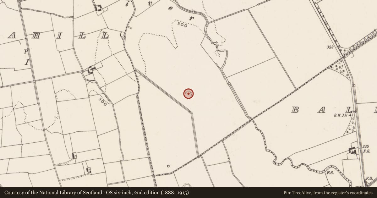 Ordnance Survey six-inch map, 2nd edition (1888–1915) covering the location of Castle - motte, Kilfrush, County Limerick, with a pin at the register's coordinates