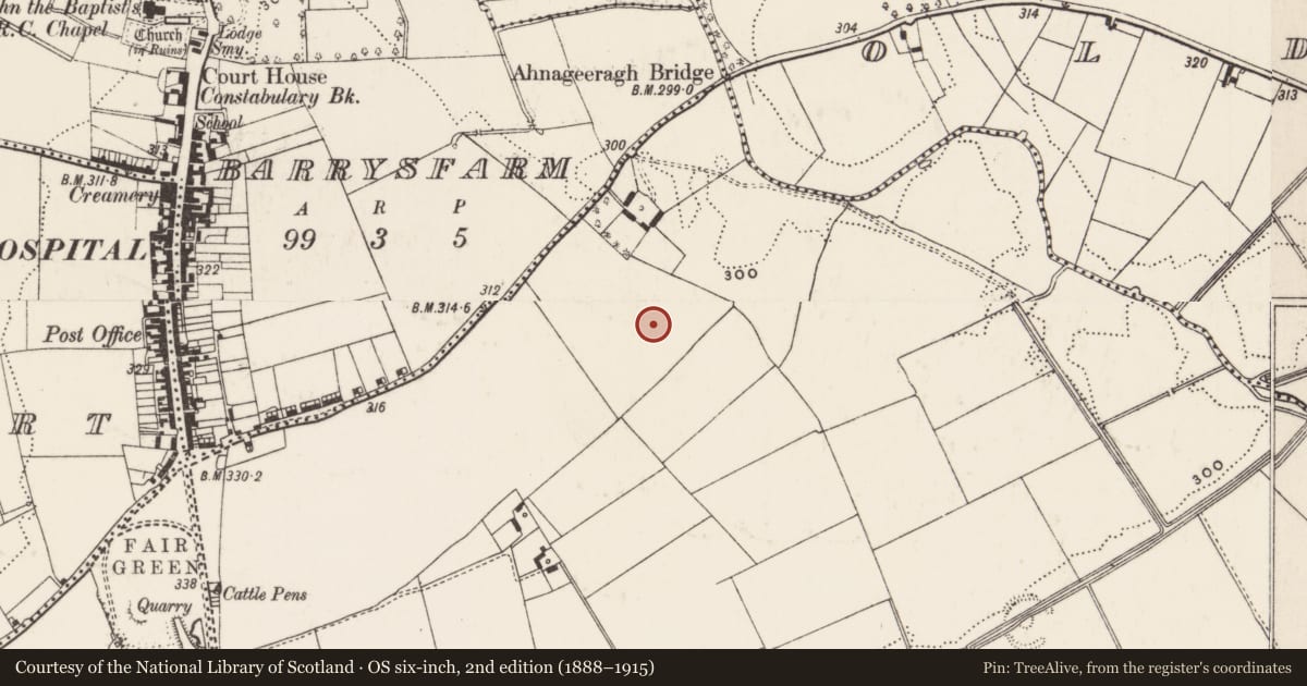 Ordnance Survey six-inch map, 2nd edition (1888–1915) covering the location of Standing stone, Coolalough, County Limerick, with a pin at the register's coordinates