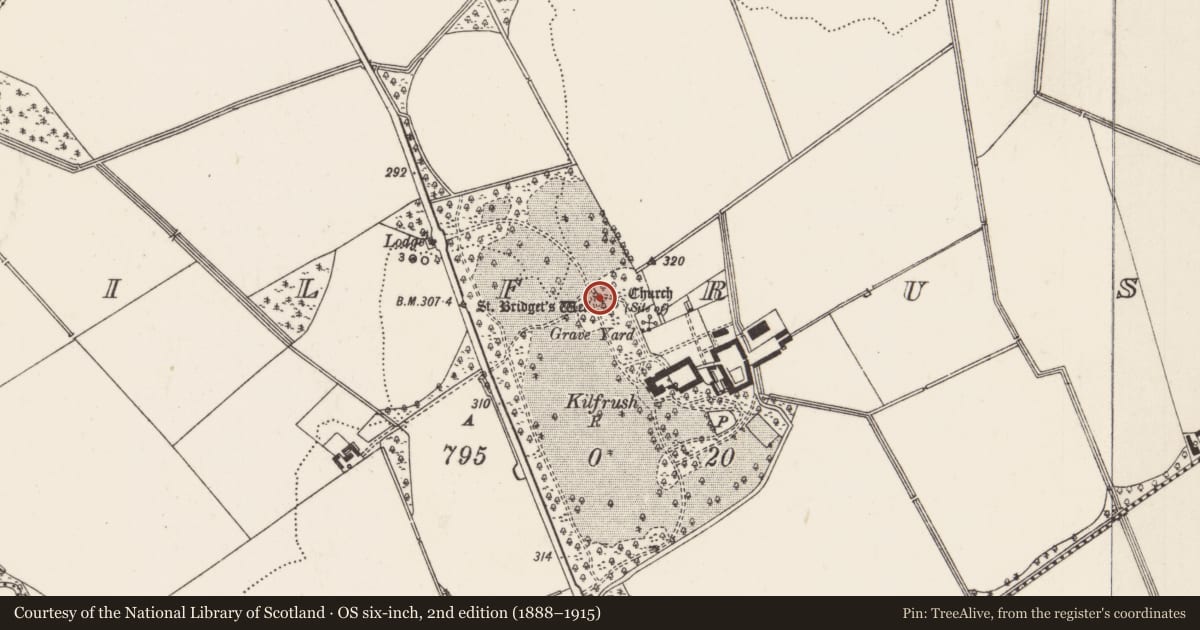 Ordnance Survey six-inch map, 2nd edition (1888–1915) covering the location of Ritual site - holy well, Kilfrush, County Limerick, with a pin at the register's coordinates