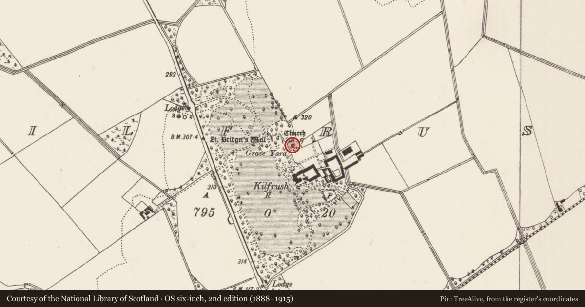 Ordnance Survey six-inch map, 2nd edition (1888–1915) covering the location of Graveyard, Kilfrush, County Limerick, with a pin at the register's coordinates