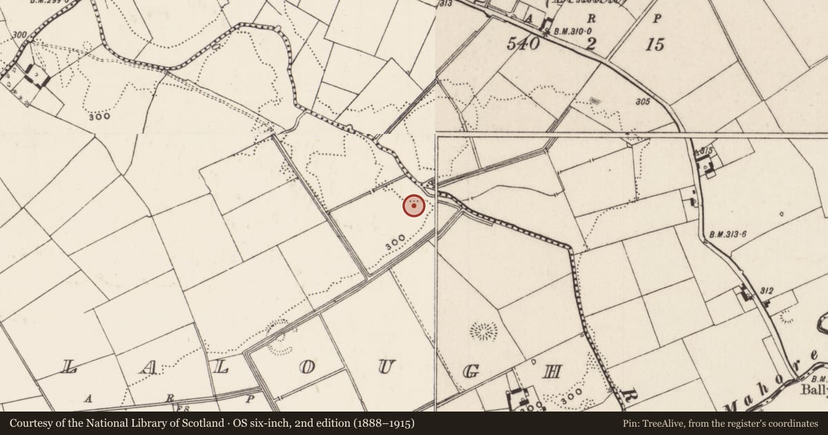 Ordnance Survey six-inch map, 2nd edition (1888–1915) covering the location of Barrow - ring-barrow, Coolalough, County Limerick, with a pin at the register's coordinates