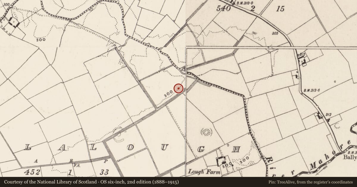 Ordnance Survey six-inch map, 2nd edition (1888–1915) covering the location of Barrow - ditch barrow, Coolalough, County Limerick, with a pin at the register's coordinates