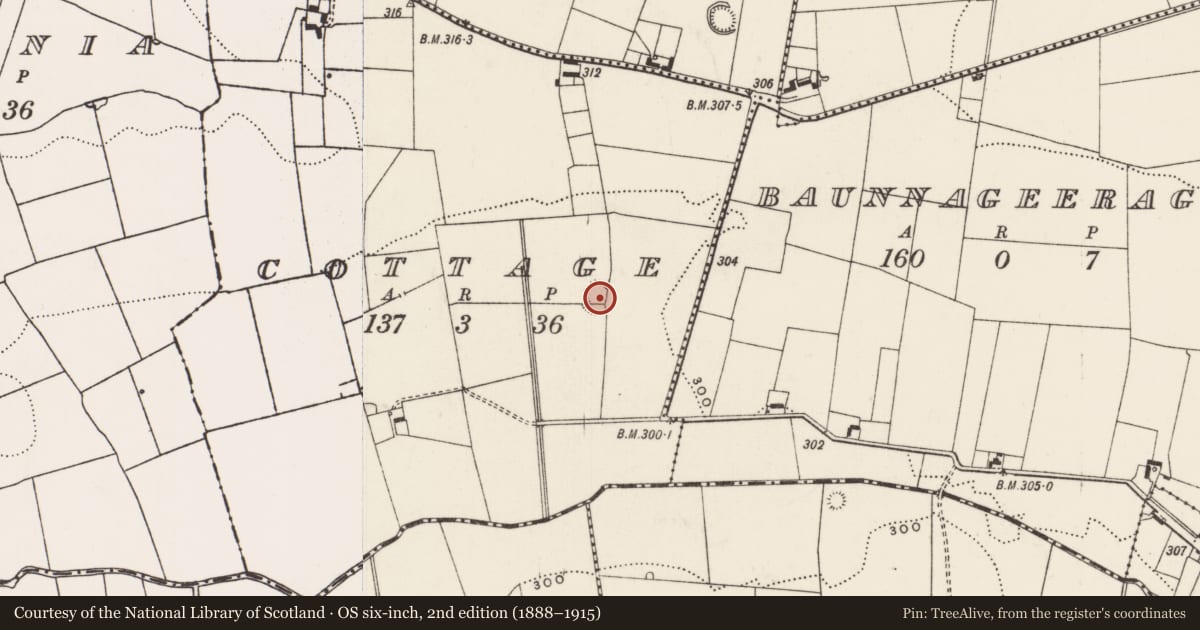 Ordnance Survey six-inch map, 2nd edition (1888–1915) covering the location of Enclosure - large enclosure, Cottage, County Limerick, with a pin at the register's coordinates