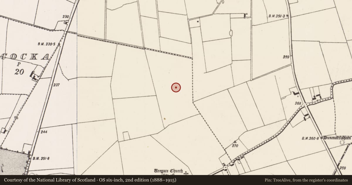 Ordnance Survey six-inch map, 2nd edition (1888–1915) covering the location of Field system, Uregare, County Limerick, with a pin at the register's coordinates