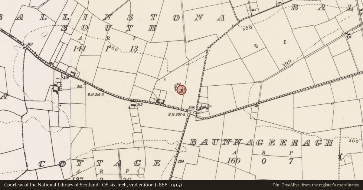 Ordnance Survey six-inch map, 2nd edition (1888–1915) covering the location of Ringfort - rath, Ballinstona South, County Limerick, with a pin at the register's coordinates
