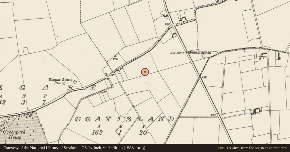 Ordnance Survey six-inch map, 2nd edition (1888–1915) covering the location of Fulacht fia, Goat Island, County Limerick, with a pin at the register's coordinates