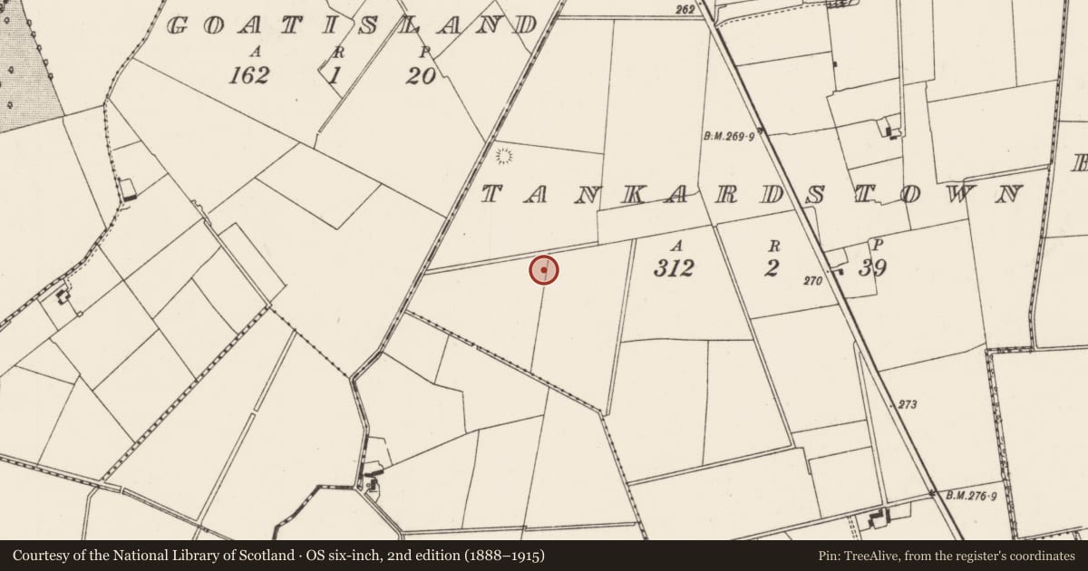 Ordnance Survey six-inch map, 2nd edition (1888–1915) covering the location of Field system, Tankardstown, County Limerick, with a pin at the register's coordinates