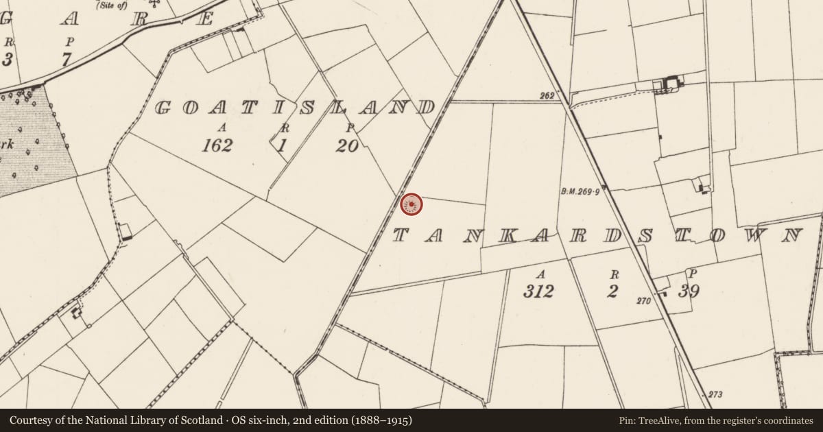 Ordnance Survey six-inch map, 2nd edition (1888–1915) covering the location of Earthwork, Tankardstown, County Limerick, with a pin at the register's coordinates