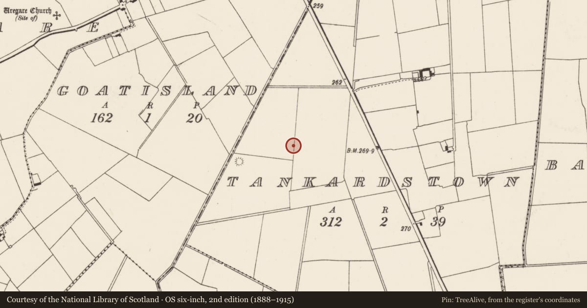 Ordnance Survey six-inch map, 2nd edition (1888–1915) covering the location of Barrow - unclassified, Tankardstown, County Limerick, with a pin at the register's coordinates