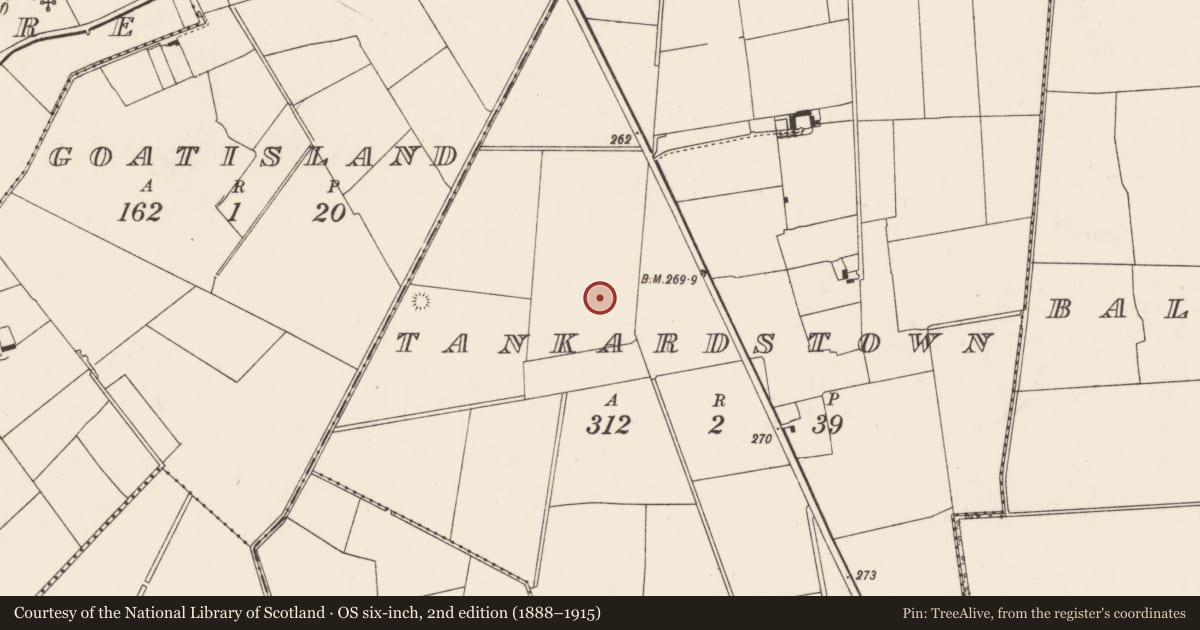 Ordnance Survey six-inch map, 2nd edition (1888–1915) covering the location of Barrow - ditch barrow, Tankardstown, County Limerick, with a pin at the register's coordinates