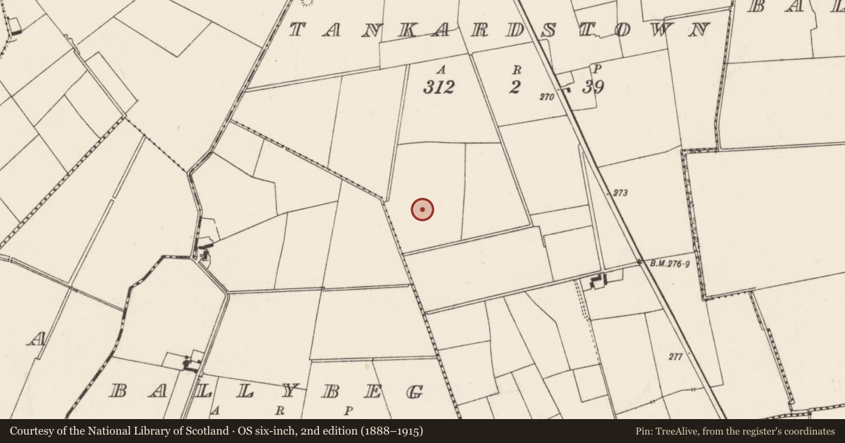 Ordnance Survey six-inch map, 2nd edition (1888–1915) covering the location of Barrow - ditch barrow, Tankardstown, County Limerick, with a pin at the register's coordinates