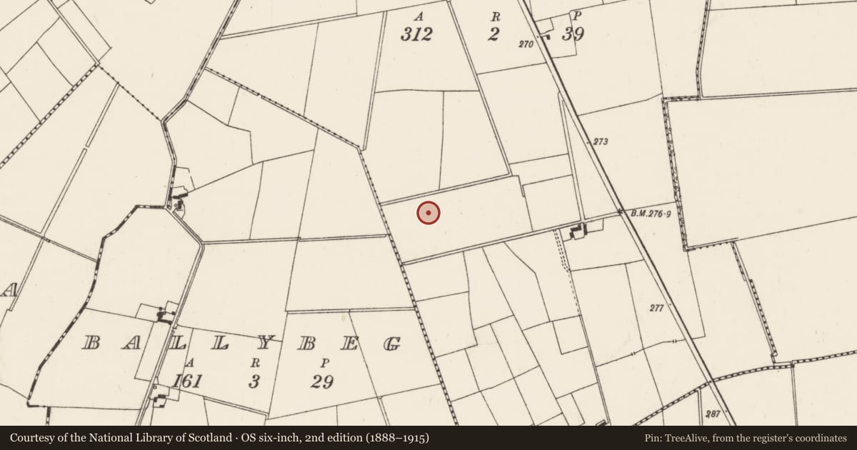 Ordnance Survey six-inch map, 2nd edition (1888–1915) covering the location of Barrow - ditch barrow, Tankardstown, County Limerick, with a pin at the register's coordinates