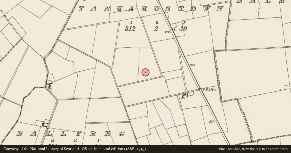 Ordnance Survey six-inch map, 2nd edition (1888–1915) covering the location of Barrow - ditch barrow, Tankardstown, County Limerick, with a pin at the register's coordinates
