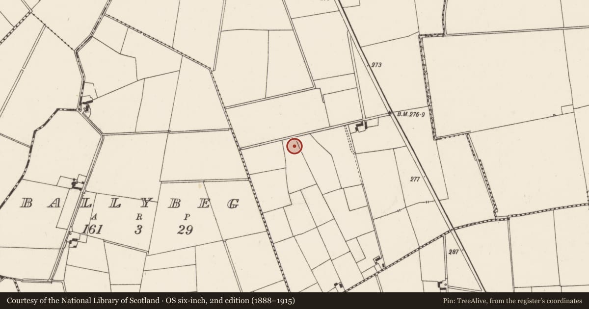 Ordnance Survey six-inch map, 2nd edition (1888–1915) covering the location of Barrow - unclassified, Tankardstown, County Limerick, with a pin at the register's coordinates