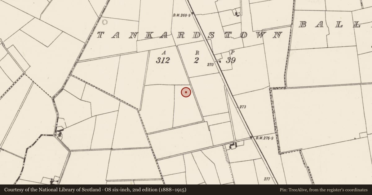Ordnance Survey six-inch map, 2nd edition (1888–1915) covering the location of Earthwork, Tankardstown, County Limerick, with a pin at the register's coordinates