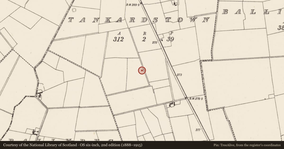 Ordnance Survey six-inch map, 2nd edition (1888–1915) covering the location of Barrow - unclassified, Tankardstown, County Limerick, with a pin at the register's coordinates