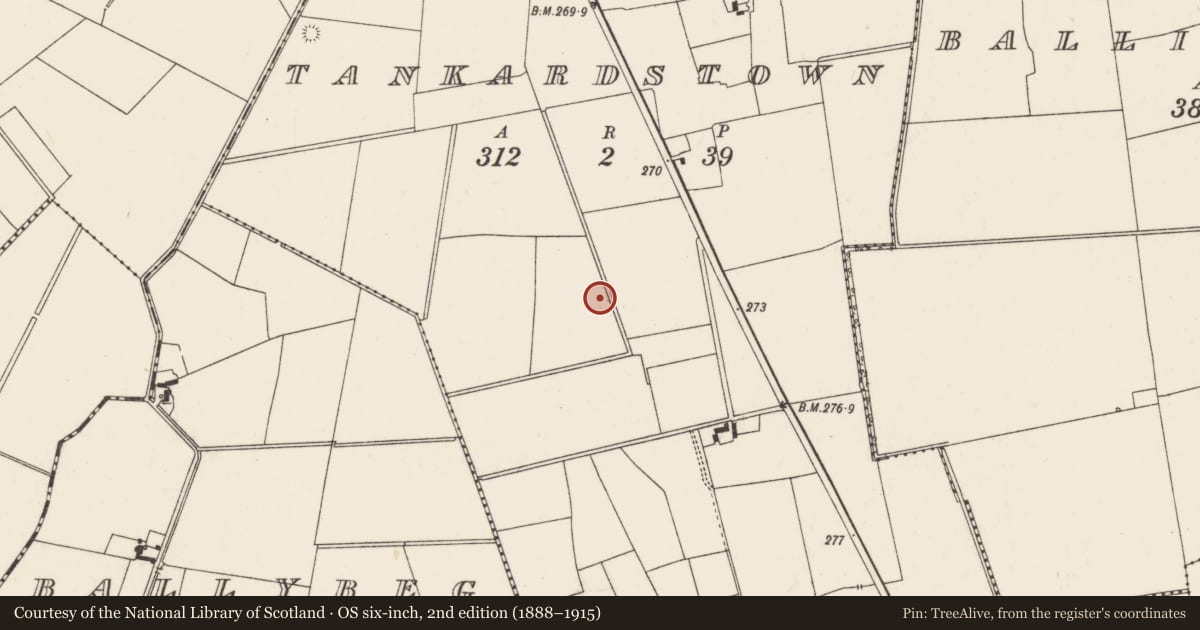 Ordnance Survey six-inch map, 2nd edition (1888–1915) covering the location of Barrow - unclassified, Tankardstown, County Limerick, with a pin at the register's coordinates