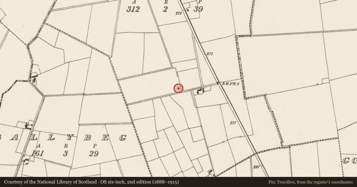 Ordnance Survey six-inch map, 2nd edition (1888–1915) covering the location of Barrow - ditch barrow, Tankardstown, County Limerick, with a pin at the register's coordinates
