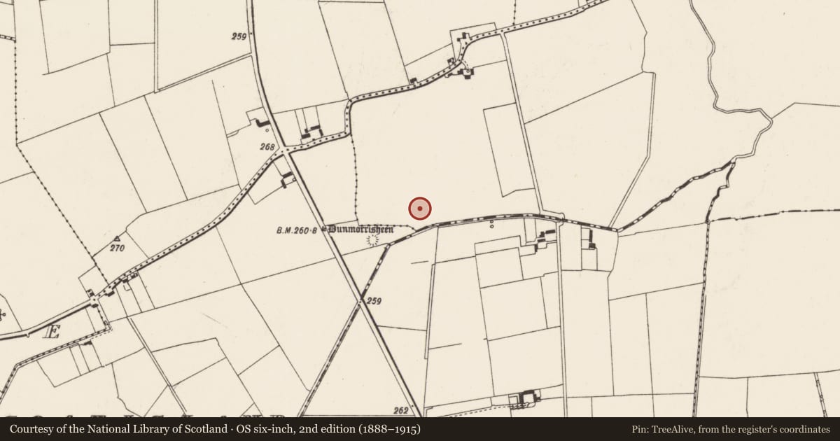 Ordnance Survey six-inch map, 2nd edition (1888–1915) covering the location of Field system, County Limerick, with a pin at the register's coordinates
